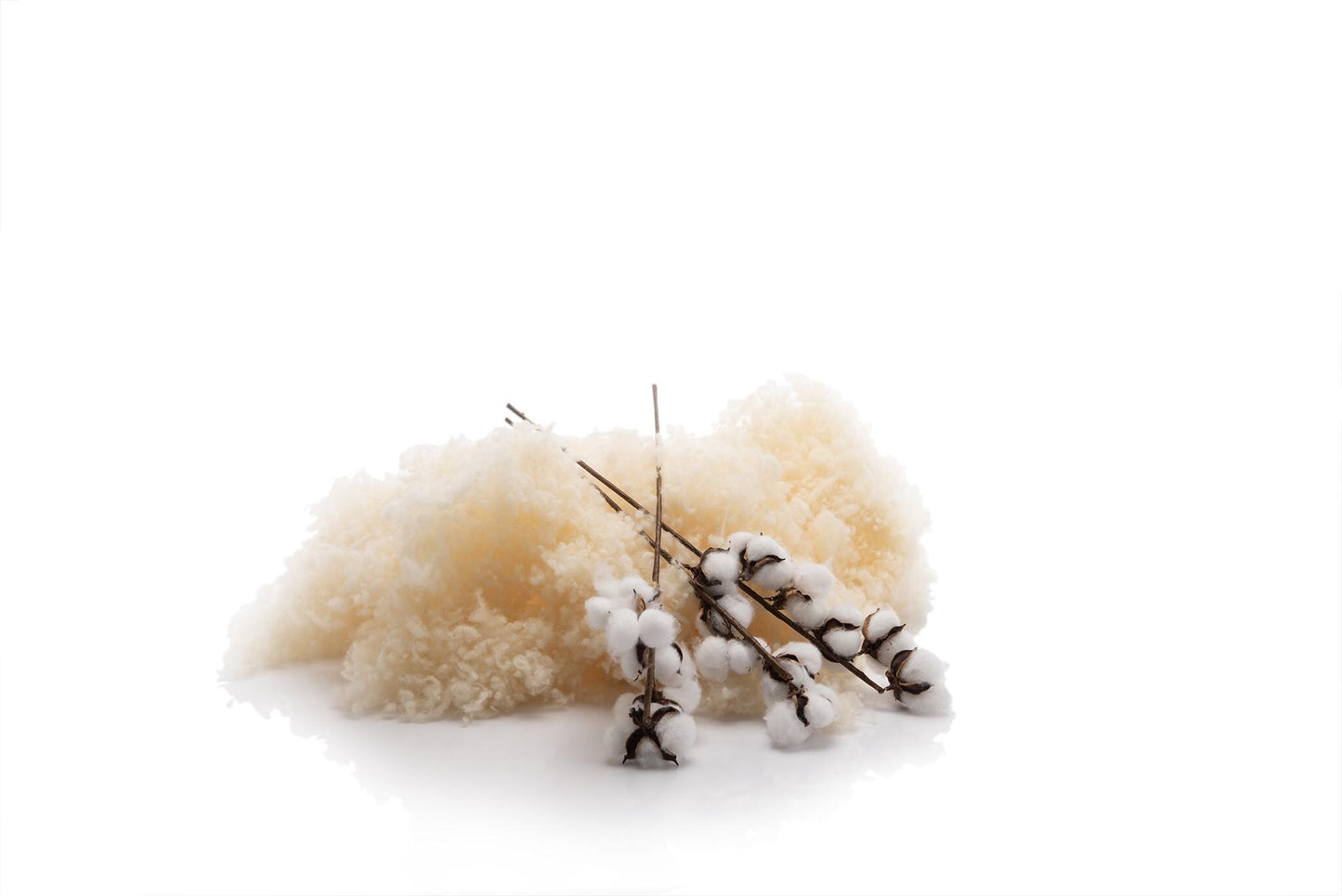 Organic cotton and merino wool by Woolland