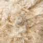 Close-up of fluffy white sheep wool
