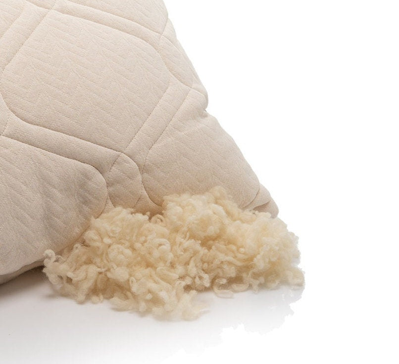 Beige pillow with fluffy raw wool trim on a white background by Woolland
