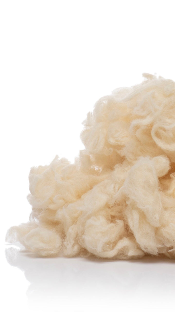 Close up of bulgarian raw combed wool for pillows filling by Woolland