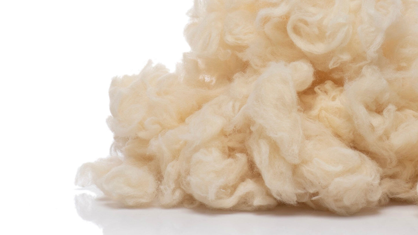 Close up of Bulgarian merino wool for stuffing by Woolland